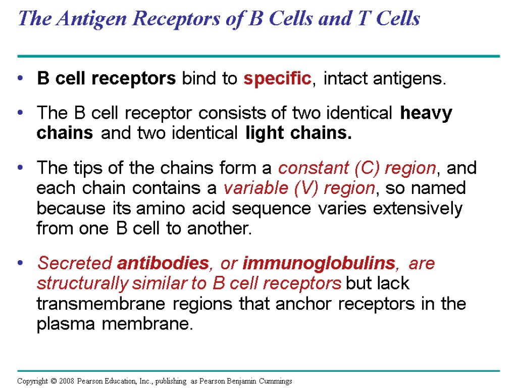 The Antigen Receptors of B Cells and T Cells B cell receptors bind to